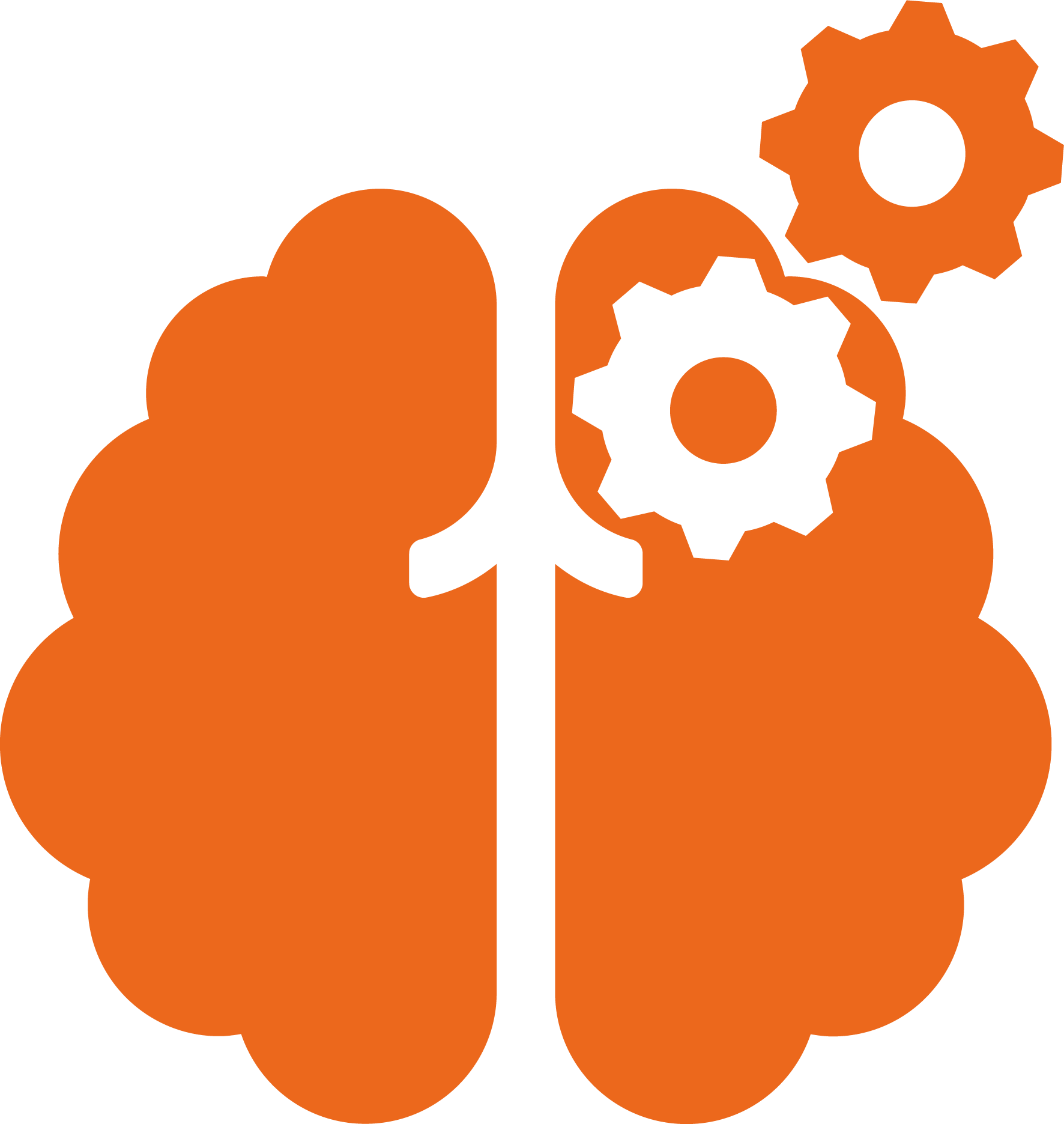 Brain